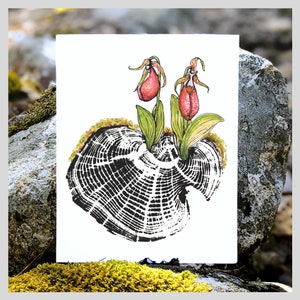 Imprimé Pink Lady Slippers