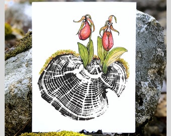 Pink Lady Slippers print