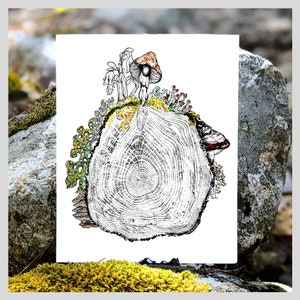 Lichens, and Mushrooms and Mosses, OH MY!  Print