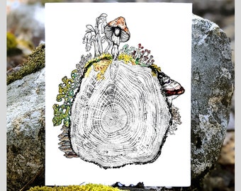 Lichens, and Mushrooms and Mosses, OH MY!  Print