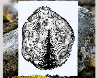 Lonely Spruce Print