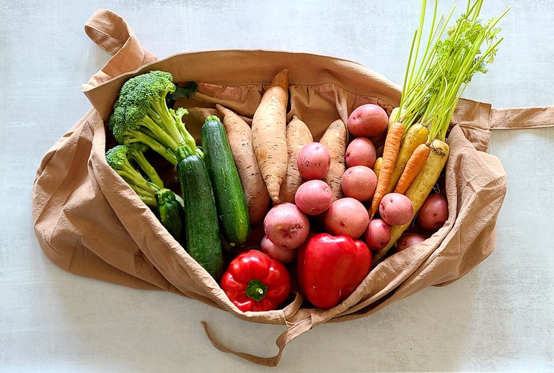 Harvest Apron, Gardening Apron with pockets Farm, Vegetable, Fruit, Egg, garden Apron for Women image 6