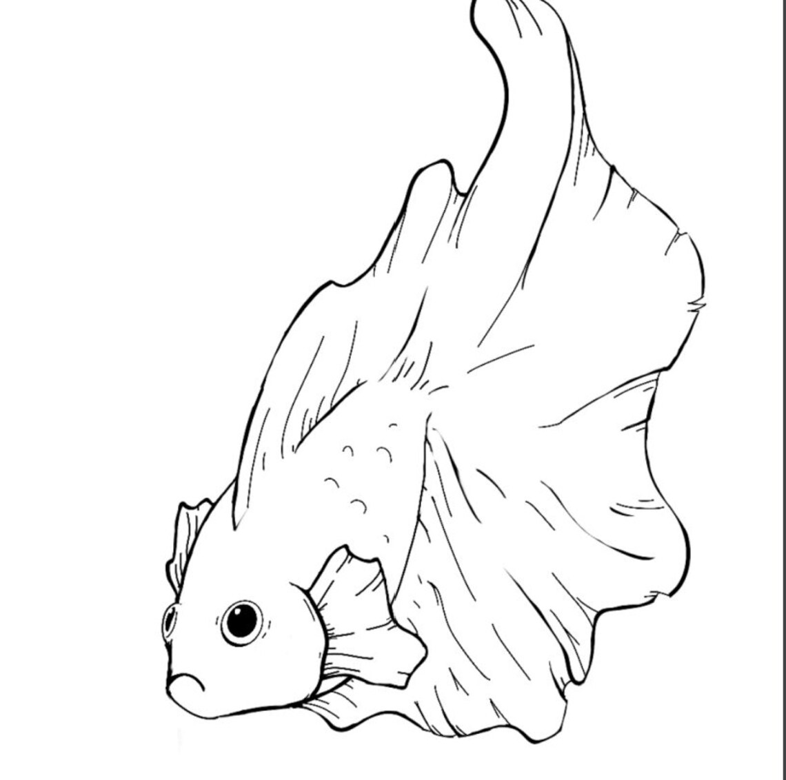 Buy Instant Download Coloring Page Betta Fish 4 Page PDF Online in