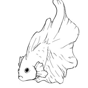Instant Download Coloring Page Betta Fish 4 page PDF image 4