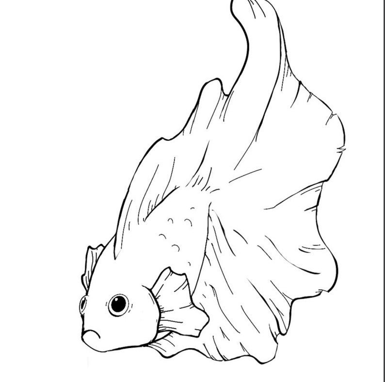 Instant Download Coloring Page Betta Fish 4 page PDF image 4