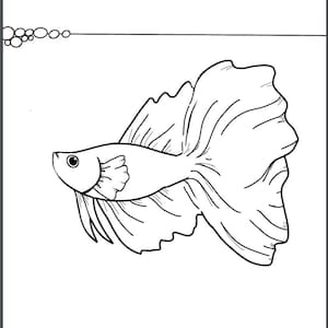 Instant Download Coloring Page Betta Fish 4 page PDF image 3