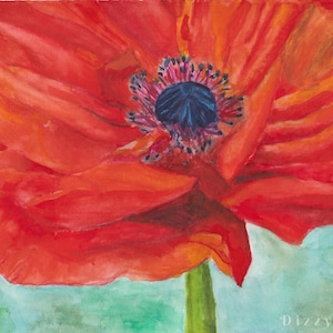 Red Poppy Watercolor Print