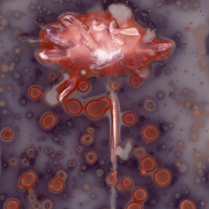 May include: Abstract artwork featuring a stylized red flower with a stem against a dark purple background. The image has a textured appearance with scattered red and white circular shapes, creating a unique visual effect.