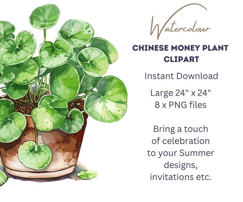 Chinese Money Plant Clipart Watercolor Pancake Plant Pilea ...
