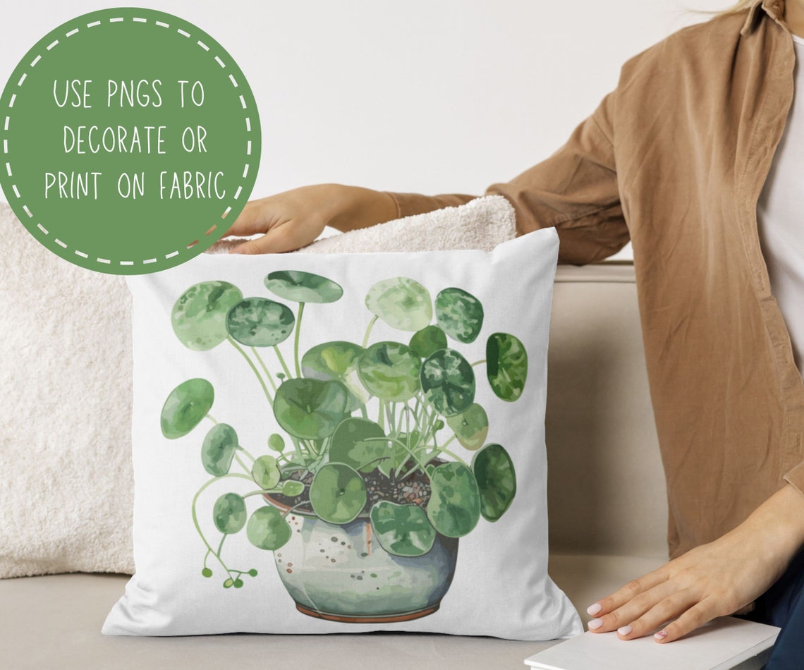 Chinese Money Plant Clipart Watercolor Pancake Plant Pilea ...