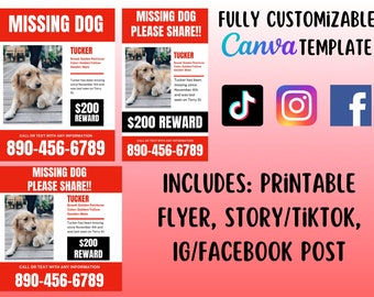 Missing Dog Flyer Kit, Lost Dog Poster Set, Social Media Package, TikTok Facebook Instagram Posts