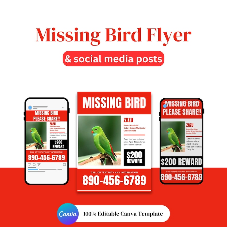 Missing Bird Flyer Kit, Canva Template (digital Download) - Etsy Canada