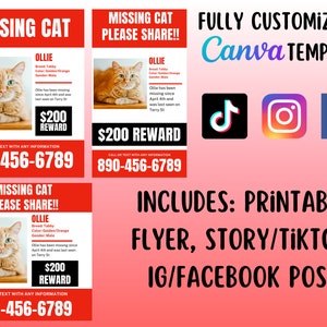 May include: A red and white flyer with a picture of a cat and the text "MISSING CAT PLEASE SHARE!!"  The flyer includes the cat's name, breed, color, and gender. It also includes a phone number to call or text with any information. The flyer also includes a $200 reward for the cat's safe return. The flyer is customizable and includes templates for social media platforms like TikTok, Instagram, and Facebook.