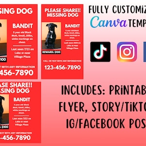 Kit de folletos para perros perdidos, conjunto de carteles para perros perdidos, paquete de redes sociales, publicaciones de TikTok Facebook Instagram