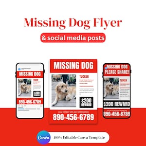 May include: A missing dog flyer and social media posts template. The design features a photo of a Golden Retriever named Tucker, with the text "Missing Dog" in red. Includes a reward of $200 and a phone number.