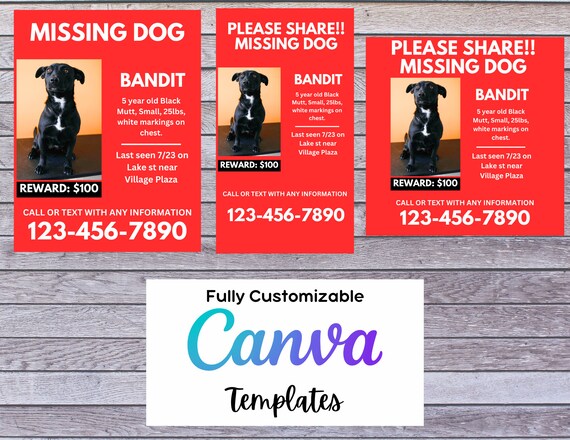 Missing Dog Flyer Kit, Editable Pet Poster, Social Media (canva