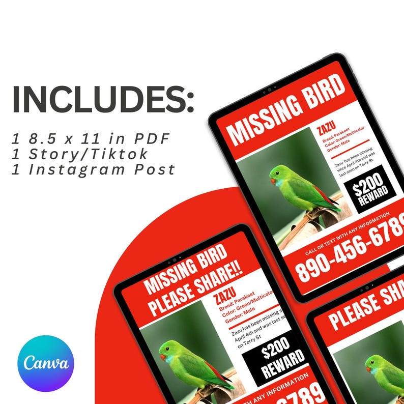 Missing Bird Flyer Kit, Canva Template (digital Download) - Etsy Canada