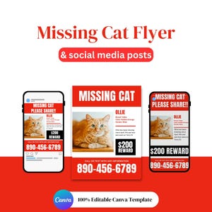 May include: A missing cat flyer and social media posts template. The flyer is red and white, featuring a photo of an orange tabby cat named Ollie. Includes a reward of $200 and a phone number to call or text with any information.