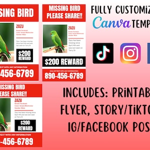 Kit de folleto de pájaro perdido, juego de póster de pájaro perdido, paquete para redes sociales, publicaciones de TikTok, Facebook e Instagram