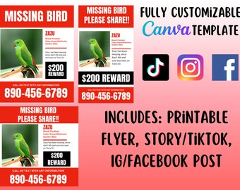 Missing Bird Flyer Kit, Lost Bird Poster Set, Social Media Package, TikTok Facebook Instagram Posts