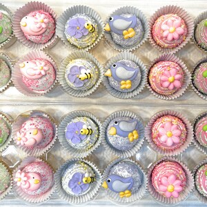 May include: A clear plastic container filled with 20 decorated cake pops. Each cake pop is round and decorated with various designs, including snails, birds, flowers, bees, and watermelon slices. The pops are in paper cupcake liners.
