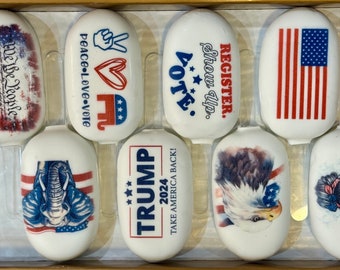 Republican- convention , Trump, Vote, Politics and Campaigning cakesickles!