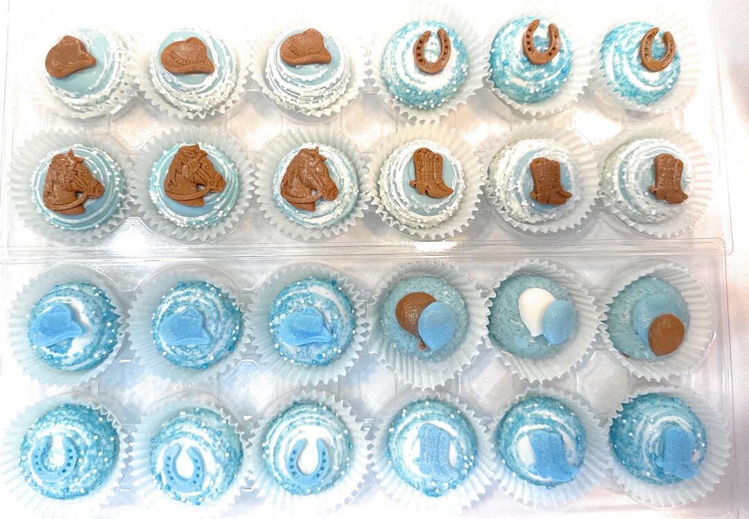 My First Rodeo ! Cake Truffles! ( Elevated Cake Pops) - Etsy