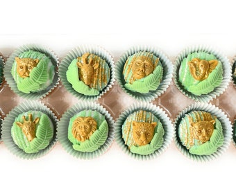 12 or 24 Safari / Jungle Themed cake truffles! Can be coordinated with our jungle themed Cakesicles!