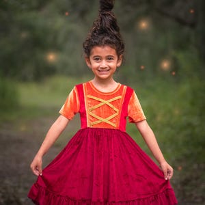 Mary Velvet Dress Witch Dress, Halloween Costume Dress, Soft Twirly Dress
