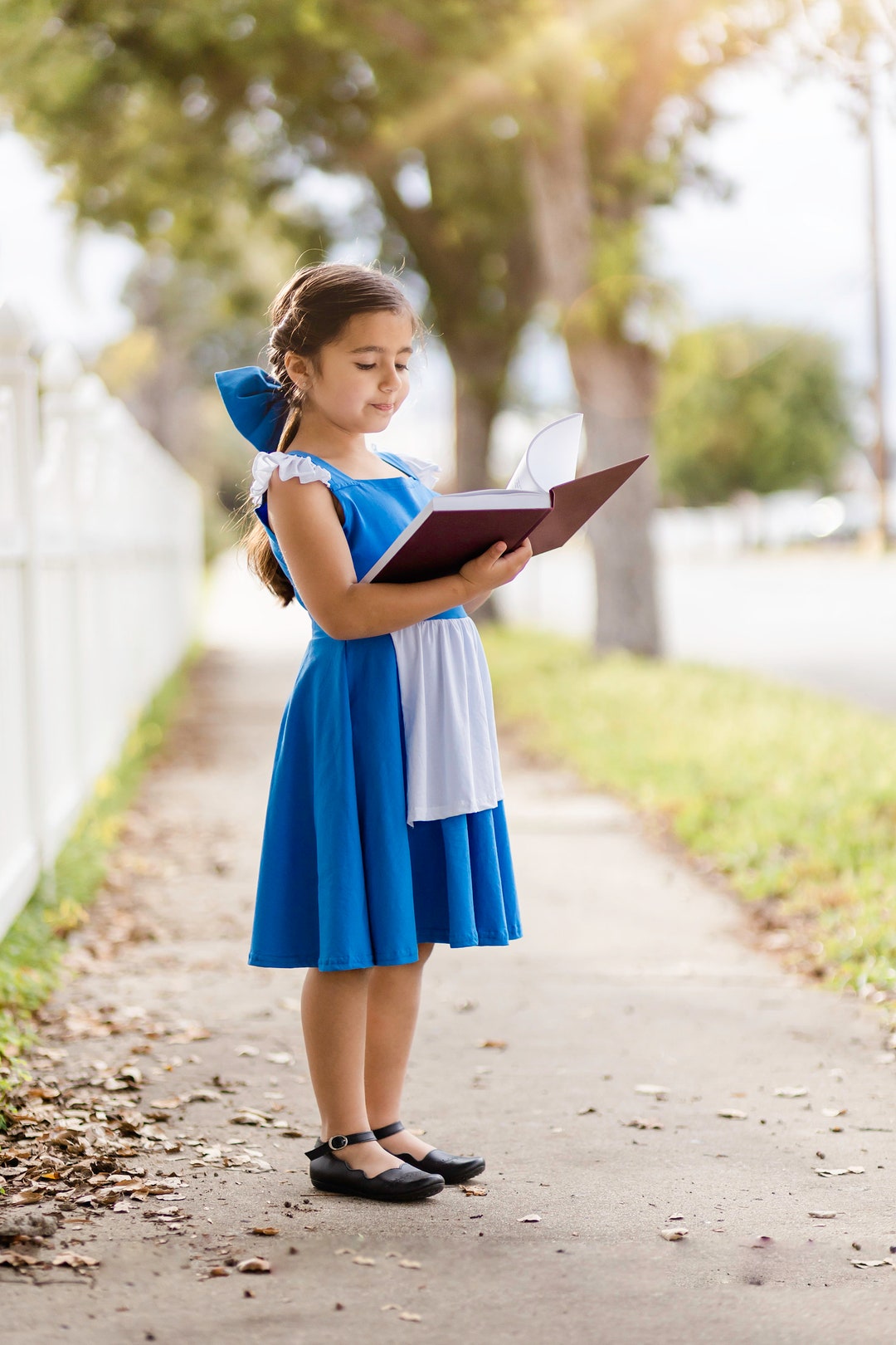 Beauty Blue Dress with Bow , Princess Dress, costume Belle