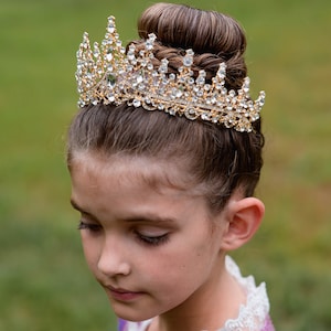 Princess Tiara Rose Gold Silver Crown Queen