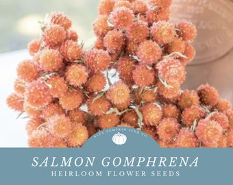 Salmon Gomphrena seeds: Perfect for Fresh Bouquets and Dried Arrangements