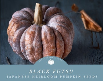 Black Futsu pumpkin  seeds: Rare Japanese Heirloom, Delicious Nutty Flavor, Perfect for Roasting