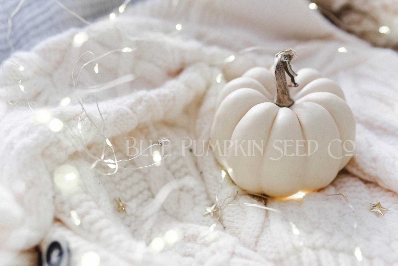 A Casperita pumpkin on a cloth with lights.