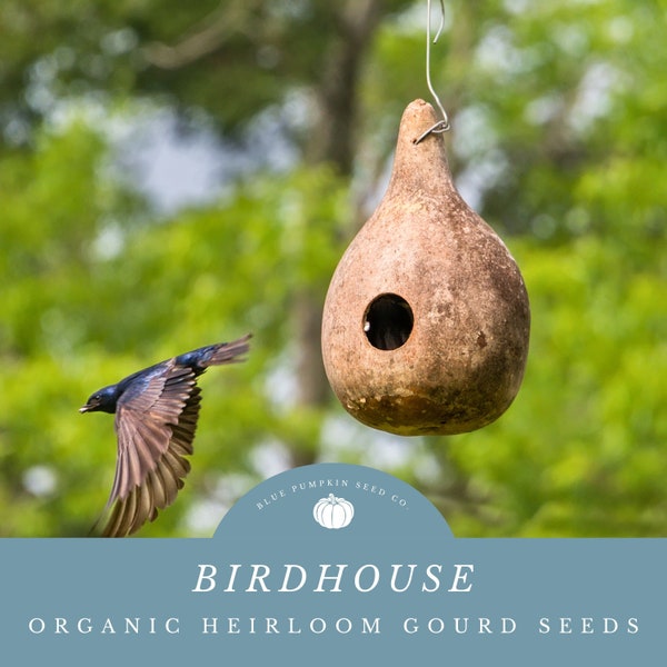 Birdhouse Gourd Seeds: Grow Gourds To Create Birdhouses and Decorative Bowls with These Birdhouse Gourd Seeds