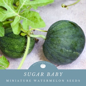 May include: Two small green watermelons with vines, a close-up of a watermelon with the text "Sugar Baby Miniature Watermelon Seeds" and a logo for Blue Pumpkin Seed Co.