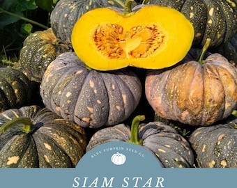 Puede incluir: Un conjunto de calabazas acanaladas de color verde oscuro con manchas claras, incluyendo una calabaza cortada por la mitad que revela un interior amarillo brillante con semillas. El texto dice: BLUE PUMPKIN SEED CO. SIAM STAR HYBRID THAI PUMPKIN SEEDS.