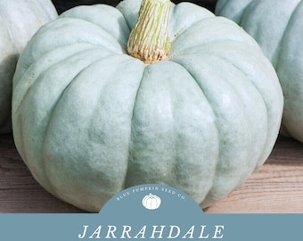 Jarrahdale pumpkin (heirloom/c.maxima) seeds:  blue bayou, pumpkin, Queensland blue, Australian blue, blue moon, blue Lakota