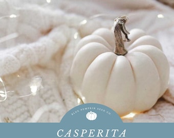 Casperita Pumpkin Seeds - Grow Mini White Pumpkins -Great for Edible Squash and Festive Decor