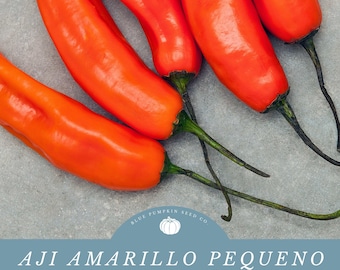 Peruvian Aji Amarillo Chili Seeds (organic): aji amarillo, gold chili, orange chili, Peruvian chili, Peru, gardening, seeds, chili