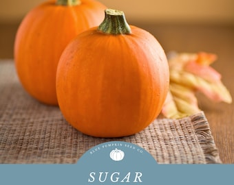 Sugar Pumpkin (heirloom/c.pepo) seeds: Pie pumpkin seeds, New England Pie Pumpkin, New England Sugar pumpkin, pie pumpkin seeds.