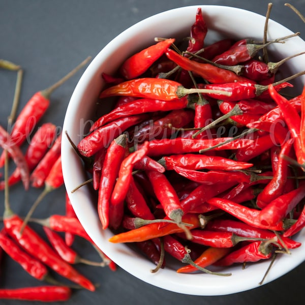 Thai Chili (OP/heirloom/organic): Birds eye chili, Indonesian chili, asian chili, cili padi, kanthari, heirloom chili seeds.