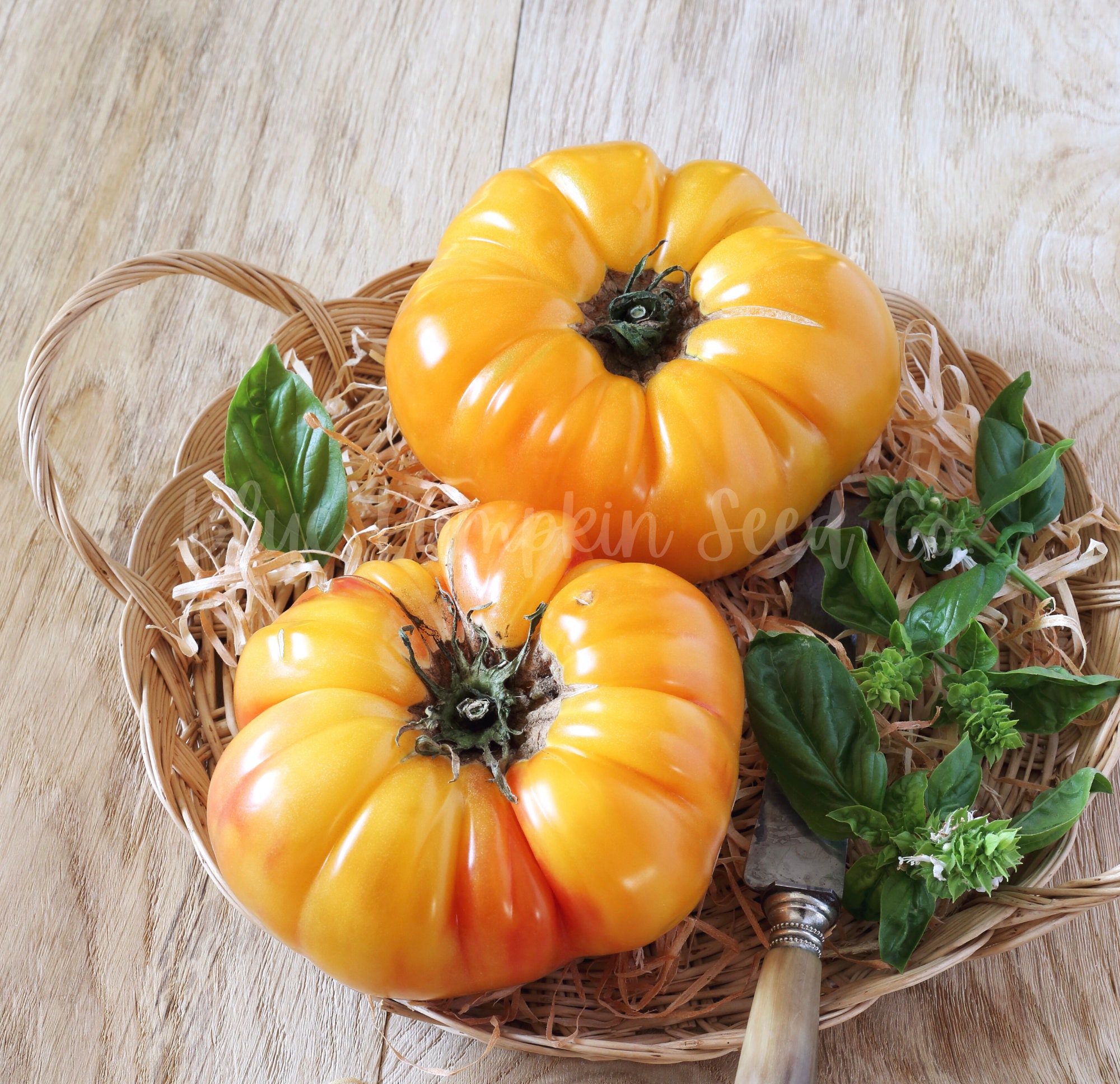 Pineapple Tomato heirloom/ Indeterminate Seeds Black Etsy