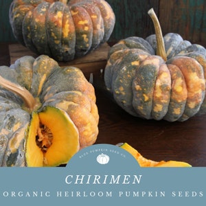 Semillas de Calabaza Chirimen (orgánicas) - Perfectas para Tempura o Caldo - Deliciosas y Nutritivas