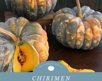 Chirimen Pumpkin Seeds (organic) - Perfect for Tempura or Broth - Delicious and Nutritious