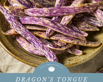 May include: Close-up of Dragon's Tongue heirloom bean seeds. The beans are purple and white with a speckled pattern, displayed in a brown ceramic bowl. The image includes a blue banner with the text "DRAGON'S TONGUE HEIRLOOM BEAN SEEDS".
