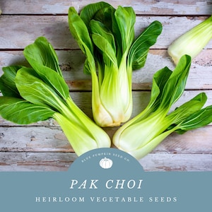 Pak Choi Seeds (heirloom): Pak choy, bak choi, bak choy, Chinese cabbage, Asian cabbage, Chinensis, petsay, Asian vegetable, vegetable seed