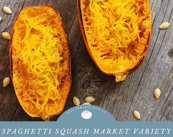Spaghetti squash market variety (F1/c.pepo) seeds: vegetable spaghetti, yellow squash, non gmo, summer squash, squash seeds, spaghetti