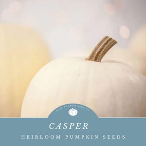 May include: White heirloom pumpkin seeds, labelled "Casper" from Blue Pumpkin Seed Co.