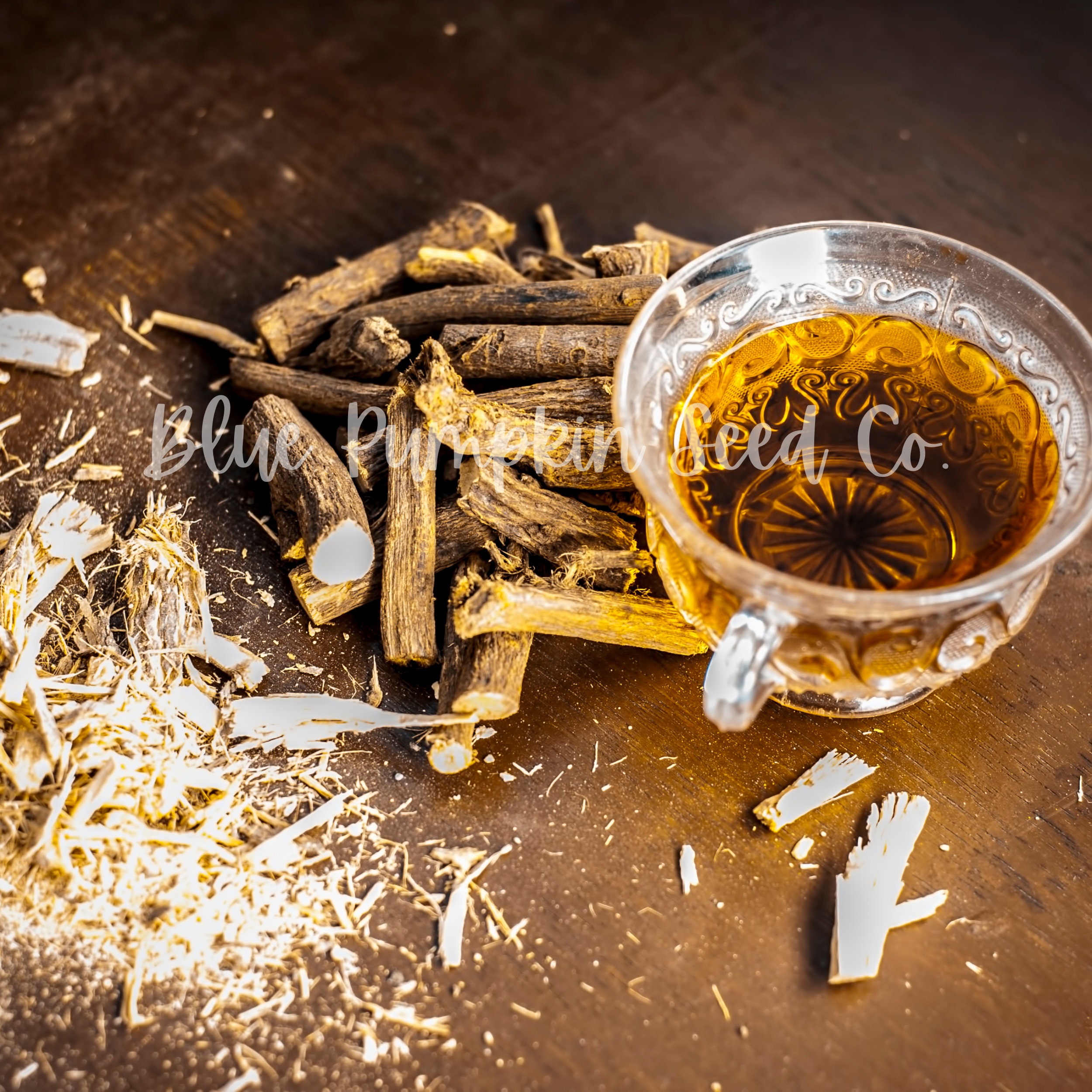 Licorice seed Licorice plant liquorice plant silver bush Etsy